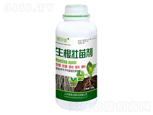 �������焩-�v������