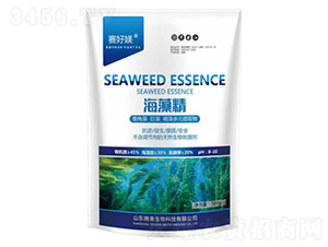 ���徫-�v������