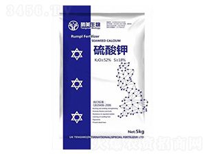 �����-�v������