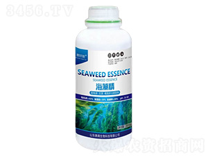 ���徫1000g-�v������