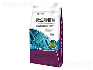 ΢�������-�v������