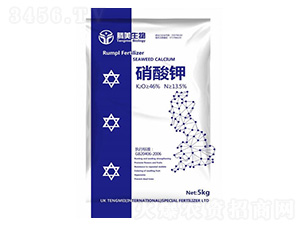 �����-�v������