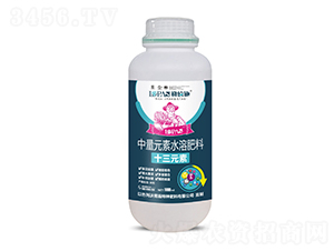 ����Ԫ��ˮ�ܷ���-ʮ��Ԫ��-�հ�ʩ-����ʩ