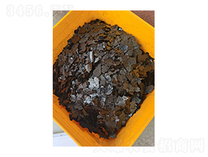 ���徫--ͨ�Դ