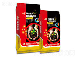 �S�����-���vɭ-�vɭ�ʘI(y��)