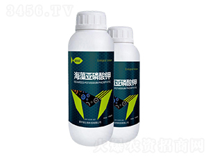 ���偆�����-���A��