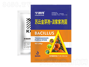 ���ٝ����ײ�2̖-���A��