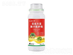 ��������������-ʷ���̎�-�P���