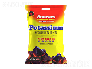 �VԴ�S�����+��-��ţ���H