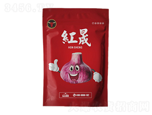 ����һ��ˎ-�t��-��ţ���H