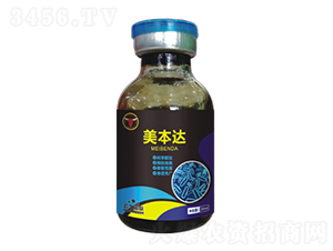 �����(x��)��-�����_(d��)-��ţ��(gu��)�H