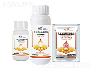 ���Ú�������-���-�����r(n��ng)