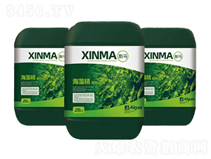 ���徫���ЙC(j��)ˮ�ܷ���-���R-����