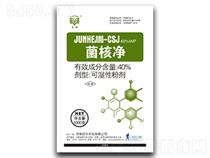 40%���˃��ɝ��Էۄ�-�L��-�����r��