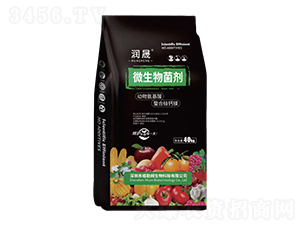 ΢�������(�w��)-����-����ķ