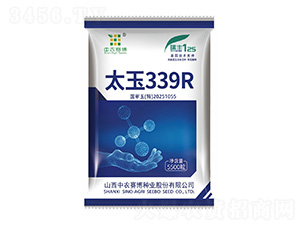 ̫��339R-���r(n��ng)ِ��