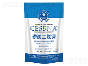 ��������-�ЅR�r�I(y��)