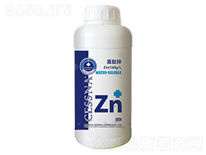 �����\-�ЅR�r�I(y��)