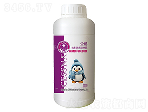 ��������֬��Ĥ-���Z-�ЅR�r�I(y��)