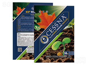 ��Sͪ�����T����-���o-�ЅR�r�I(y��)