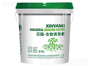 о�-�����T����-�ЅR�r�I(y��)