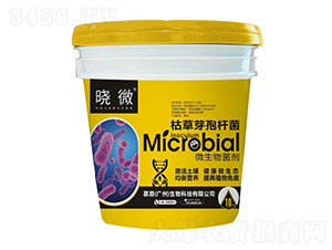 ΢�������-��΢-Ľ������