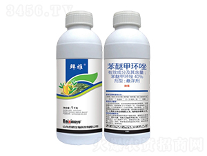 40%���Ѽ׭h(hu��n)��Ҹ���-�r��-��������