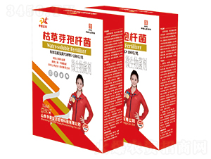 �ݲ�ѿ�ߗU��-�ƹ�ʯ-�е����r