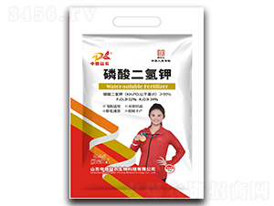 ����˚�⛣�����-�ƹ�ʯ-�е����r(n��ng)