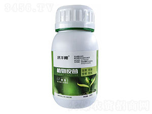 �V�V��ֲ������-���S¡-������