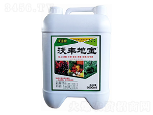 ���S�،���(f��)��΢�����-���S¡-������