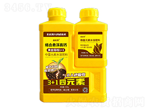 �j�ϑҸ����}+�F�\��τ�-�΄P��-�Ą�(chu��ng)��ţ