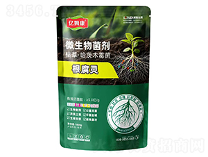 �����`΢�������-�|ķ��