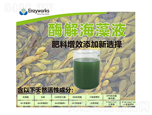 ø�⺣��Һ-��������