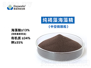 �����庣�徫(�п�΢�w��)-���u��������