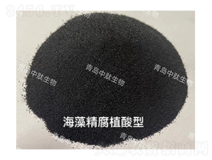 ���徫��ֲ����-���u��������