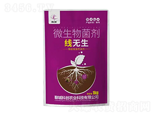 ΢�������-���o(w��)��-��(chu��ng)�|�z-�Ƶ��A