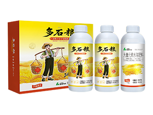 ����С�����ЙC(j��)�ᣨ������{��-��ʯ�Z-�{(l��n)���r(n��ng)�I(y��)