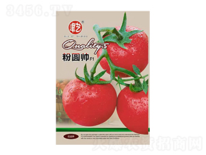 ���ѷN��-�ۈA��-���S�r(n��ng)�I(y��)