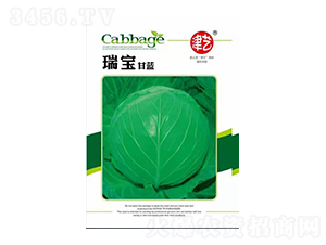 ���{(l��n)�N��-�������{(l��n)-���S�r(n��ng)�I(y��)