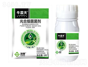 ��ϼ�(x��)������-ţ����-���՘�