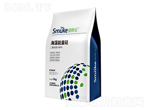 ����������-ʩķ��