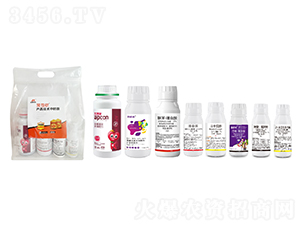 ������С��?zh��n)����ײ�-��������