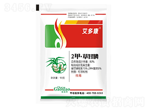 80%2�ס��ݸ�좿�������-���࿵-��������