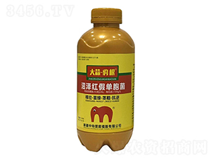 �ӝɼt�نΰ���-���⡤����-����ú