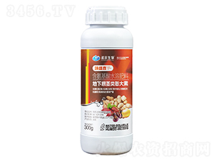 ���¸��o������-��ʢ��-�Z������