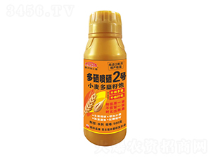 С�����Y���������2̖-�����r(n��ng)��