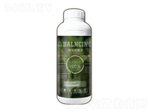 �~�i�\���f-�����T-���A�r(n��ng)�I(y��)