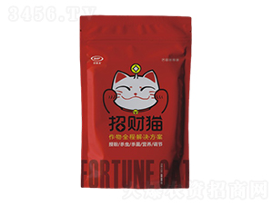 ��ؔ؈���a(ch��n)�ײ�-��ţ���H