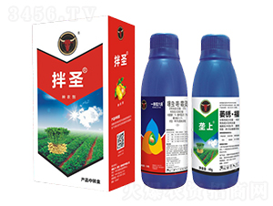 ���x������˪�`+ή�P�������p-��ʥ-��ţ���H